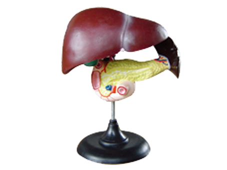 SD-093 33216ʮ֬cKģ